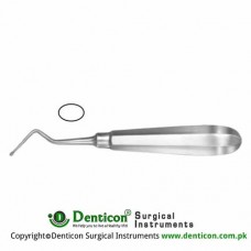Modell USA Bone Curette Oval - Fig. 4 - Right Stainless Steel, 15.5 cm - 6"